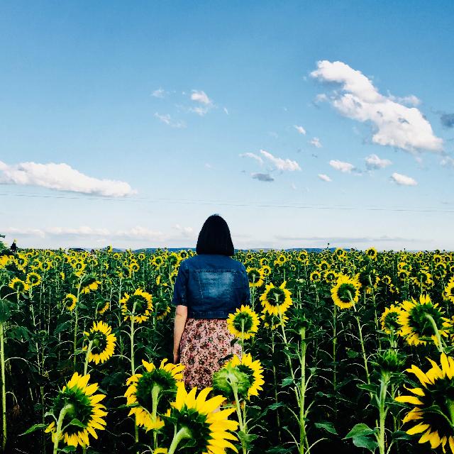 Woman in field of sunflowers | Therapy for Codependency in Woodland Hills